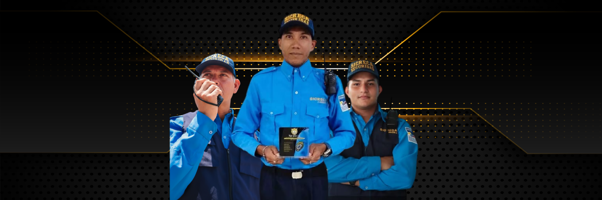 Vigilancia Privada